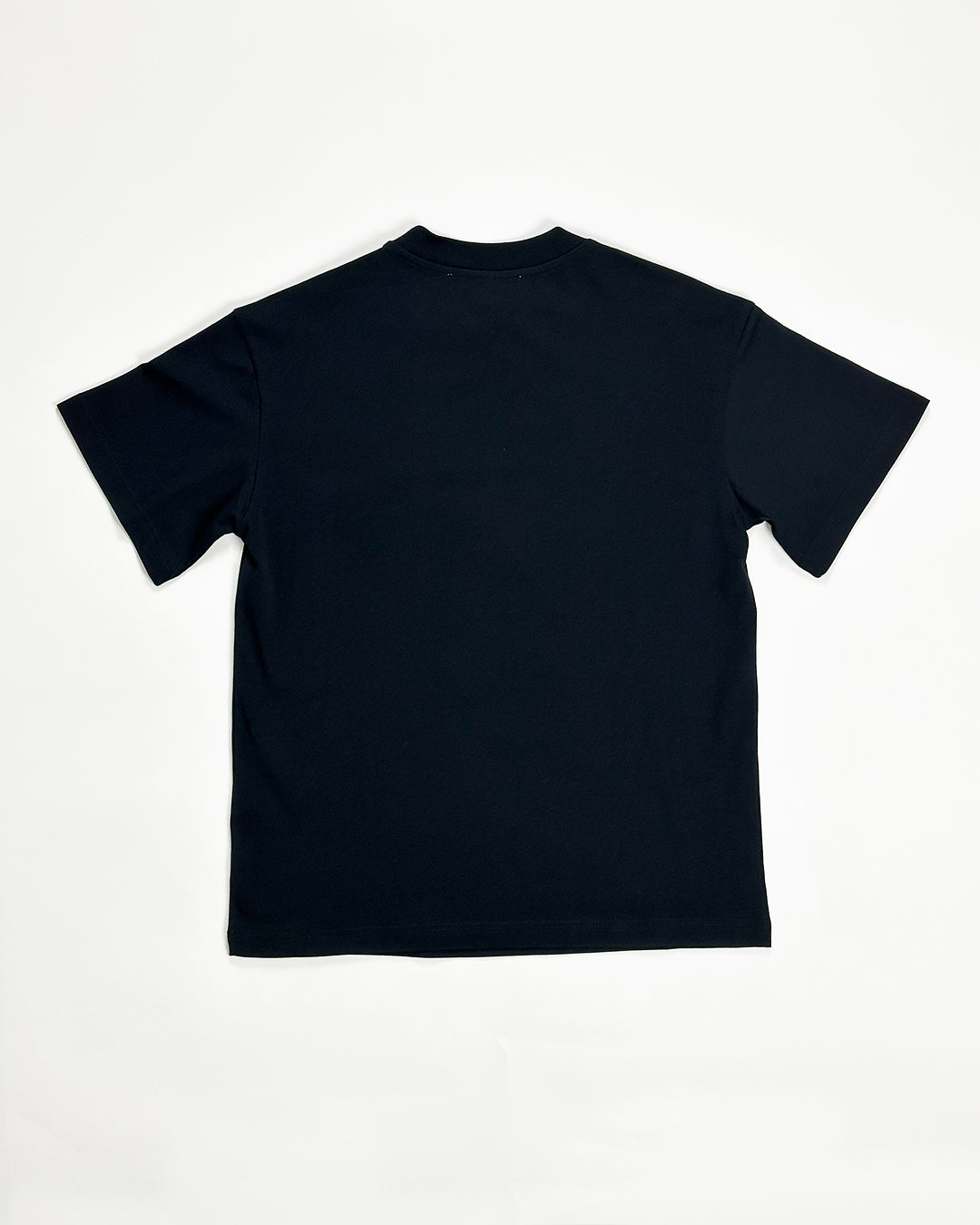 ICEBERG【白カットソー/刺繍ロゴ/恐竜/ダイナソー/コットン】刺繍ダイナソーカットソー II0811-23