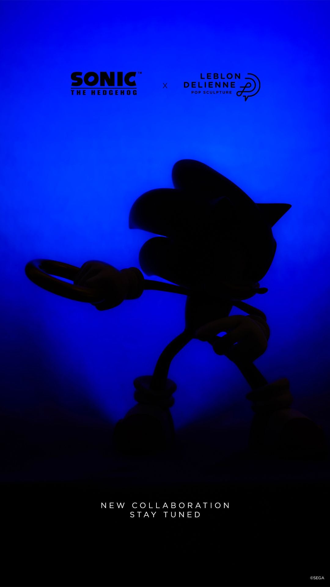 LEBLON DELIENNE ルブロンデリエンヌ【SONIC/SEGA/任天堂/ソニック/スマブラ/Small28センチ】 LJSONC-28